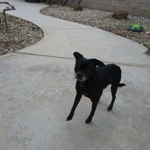 Meet your Posher, Maryann